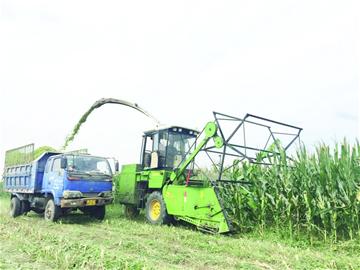 青島加速建設全國主要農作物生產全程機械化示范市 農業機械制造迎來新機遇